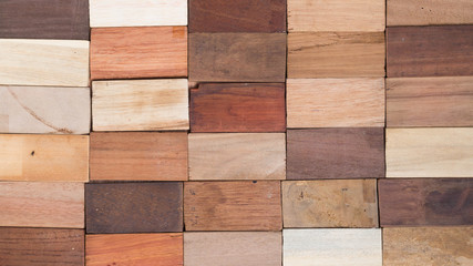 wood specimen from different tropical hardwood that grow in Indonesia. seamless wood parquet texture. natural background