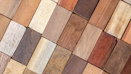 wood specimen from different tropical hardwood that grow in Indonesia. seamless wood parquet texture. natural background