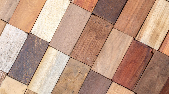 wood specimen from different tropical hardwood that grow in Indonesia. seamless wood parquet texture. natural background