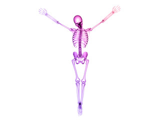 X RAY Skeleton 3D Render