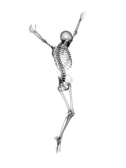 X RAY Skeleton 3D Render