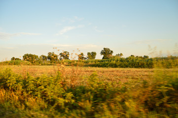 Naklejka premium Sur la route