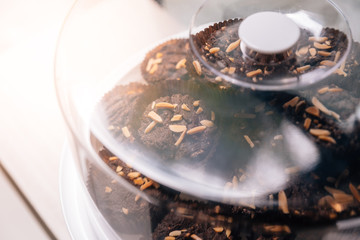 Pile of Brownies topping with almond in glass lid.