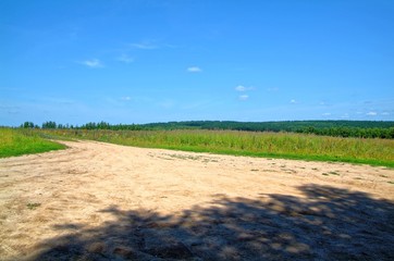 Fototapeta na wymiar dirt road through the field in summer