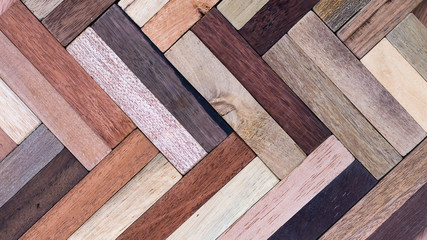 wood specimen from different tropical hardwood that grow in Indonesia. seamless wood parquet texture. natural background - 214118228