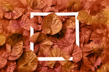 Creative layout made of leaves with paper card note. Flat lay. Nature concept