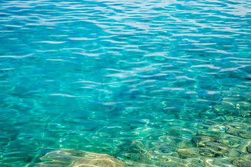 Clear Sea Water