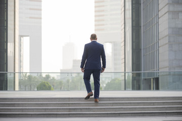 Rear view of white middle age, bearded corporate businessman wearing a suit  walking, up steps in...