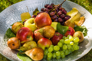 Fruit in a bowl - apples, pears and grapes