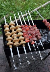 Kebab and mushrooms grilling on the skewers on the charcoals