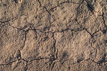 Texture of cracked earth.
