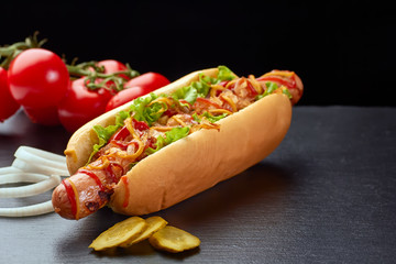 Hot dog vith vegetables on dark slate background