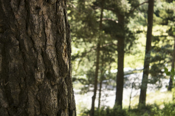 road in the mountain