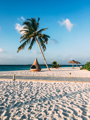 Maldives island luxury resort palm tree with hanging hammock
