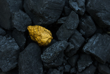 hard coal in the pile. a piece of gold among the coal. extracted underground