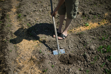 The man was digging a shovel in the garden. Agricultural work. Preparing for growing vegetables. Autumn yard. Preparation of the land for planting the garden