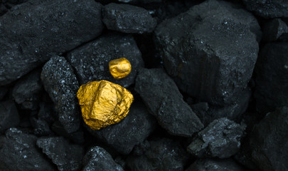 hard coal in the pile. a piece of gold among the coal. extracted underground