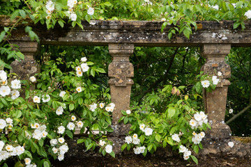 Naklejka na ściany i meble stone bridge with garden