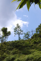 Fototapeta premium Paesaggio montano, Campania, Italia.