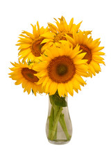 Fototapeta premium Creative still life idea flowers of sunflower bouquet in a glass vase. Isolated on white background. Floral arrangement. Picturesque and conceptual scene. Flat lay, top view