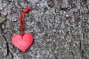 Rotes Herz an einem Baum