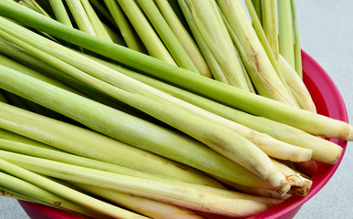 The Power of Lemon grass to Repel Mosquitoes And Biting Insects.
Fresh lemon grass with full frame.