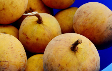 Many Fresh Santol in the market.