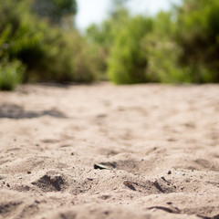 Sand Walkway