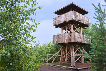  Soumarske raseliniste (moor), Sumava national park (Bohemian forest) in Czech Republic