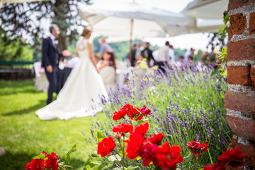 wedding reception outdoor