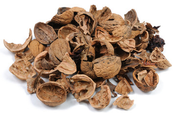 Walnut shell on white background. View from above.