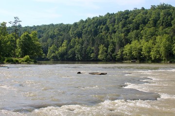 The stream in the wilderness of the Kentucky countryside.