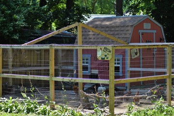 chicken coop for safe chickens © RealLife