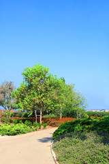 Fototapeta na wymiar Park Ramat Hanadiv, Memorial Gardens of Baron Edmond de Rothschild, Zichron Yaakov, Israel