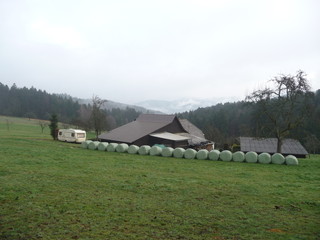 farm on the green slope near the forest
