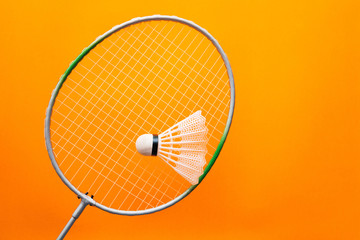 Badminton racket and shuttlecock