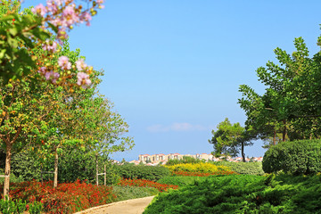 Plakat Park Ramat Hanadiv, Memorial Gardens of Baron Edmond de Rothschild, Zichron Yaakov, Israel