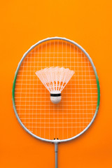 Badminton racket and shuttlecock