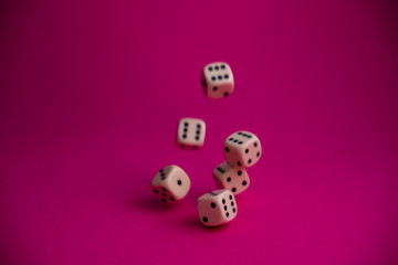 dice in fall on magenta background