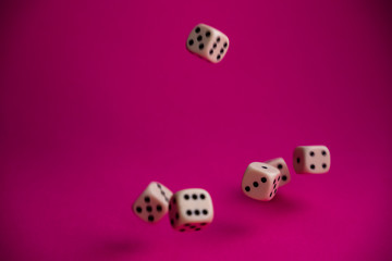 dice in fall on magenta background