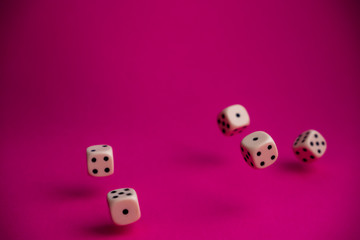 dice in fall on magenta background