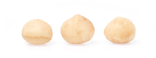 macadamia isolated on white background