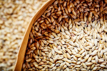 Pale Ale barley malt, used for the production of craft and home beer.