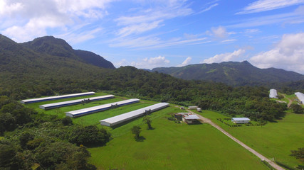 Fototapeta na wymiar Aerial view of poultry houses in the mountains of central Panama