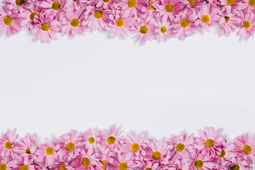 Top and bottom decorative border made of blooming daisy buds