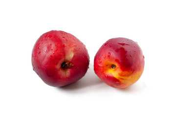 Washed nectarines
