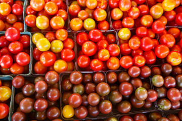 Cherry Tomatoes