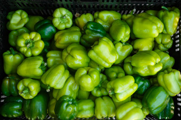 Obraz na płótnie Canvas Green Sweet Peppers at a Local Market