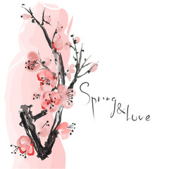 Naklejka premium Watercolor Sakura Blossom - Japanese Cherry Tree. Artistic Branch Plum Blossom.