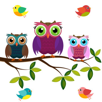 Owls on a branch with birds